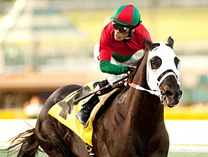 Ultimate Eagle On Go for Donn; Csaba Works Ultimate Eagle On Go for Donn; Csaba Works