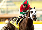 Ultimate Eagle On Go for Donn; Csaba Works