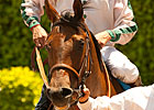Ultra Blend Faces Baffert Trio in A Gleam Ultra Blend Faces Baffert Trio in A Gleam