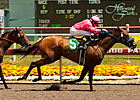 Ultra Blend Moved Up for Milady Upset