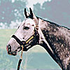 Unbridled's Song's Fee Dropped Unbridled's Song's Fee Dropped