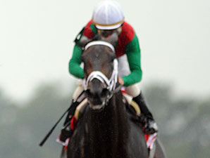 Unbridled Belle Says Goodbye to NY in 'Alarm Unbridled Belle Says Goodbye to NY in 'Alarm