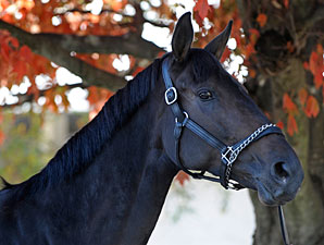 Personal Ensign Looks Like a Good One