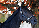 Personal Ensign Looks Like a Good One Personal Ensign Looks Like a Good One