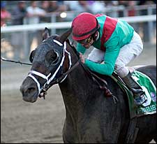 Breeders' Cup Focus: Unbridled Belle Breeders' Cup Focus: Unbridled Belle