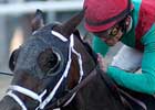 Breeders' Cup Focus: Unbridled Belle