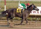 Unbridled Belle Chimes for Pletcher in Del 'Cap
