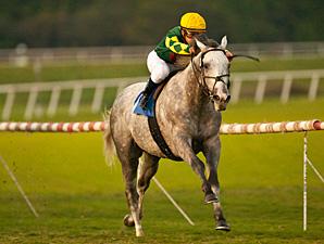 Unbridled Command Wins Hollywood Derby Unbridled Command Wins Hollywood Derby