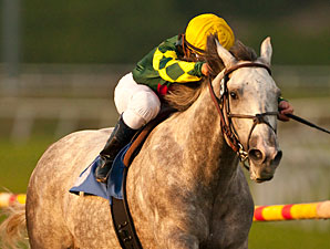 International Plans Set for Unbridled Command International Plans Set for Unbridled Command
