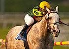 International Plans Set for Unbridled Command International Plans Set for Unbridled Command
