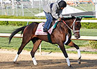Black Type On the Line in Indiana Oaks Black Type On the Line in Indiana Oaks