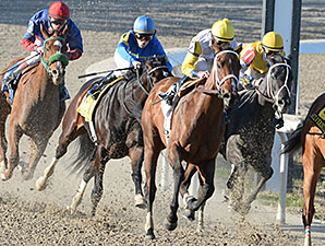 Unbridled Forever Solid in Silverbulletday Unbridled Forever Solid in Silverbulletday