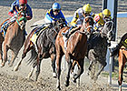 Unbridled Forever Solid in Silverbulletday Unbridled Forever Solid in Silverbulletday
