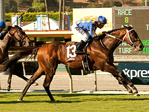 Unbridled's Note Takes Eddie D in Turf Debut Unbridled's Note Takes Eddie D in Turf Debut