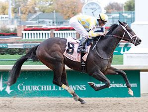 Uncaptured Favored in 14-Horse Blue Grass Uncaptured Favored in 14-Horse Blue Grass