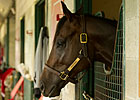 Canadian HOY Uncaptured to Ocala Stud Canadian HOY Uncaptured to Ocala Stud
