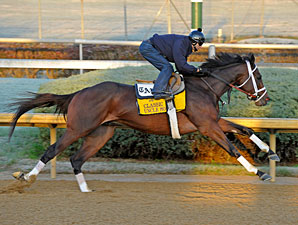 Pletcher's Classic Pair Drill at CD Pletcher's Classic Pair Drill at CD