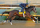 Pletcher's Classic Pair Drill at CD