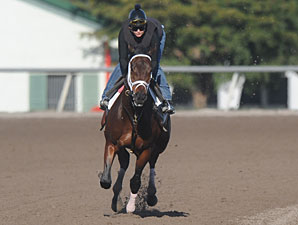 Pletcher: Uncle Mo 'On Track' for Derby Pletcher: Uncle Mo 'On Track' for Derby