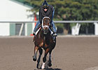Pletcher: Uncle Mo 'On Track' for Derby