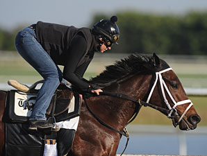Uncle Mo Narrow Choice on First Day of KDFW Uncle Mo Narrow Choice on First Day of KDFW