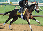 Uncle Mo Shipped to WinStar for Evaluation Uncle Mo Shipped to WinStar for Evaluation