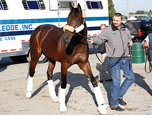 Uncle Mo, Stay Thirsty Arrive at Churchill Uncle Mo, Stay Thirsty Arrive at Churchill