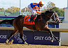 Kentucky Derby Trail: Derby ProMo Kentucky Derby Trail: Derby ProMo