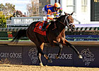 Uncle Mo Runs Off With 2YO Male Honors Uncle Mo Runs Off With 2YO Male Honors
