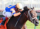 Few Eclipse Awards Up For Debate Few Eclipse Awards Up For Debate