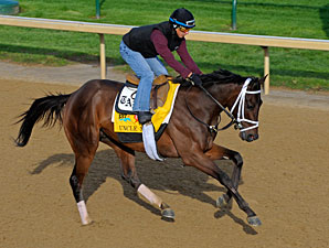 Veterinarians Release Uncle Mo's Diagnosis Veterinarians Release Uncle Mo's Diagnosis