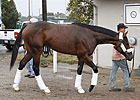 Team Pletcher: Version 2011