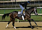 Uncle Mo Shuttling to Coolmore Australia
