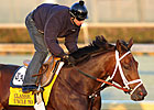 Uncle Mo Gallops in Return to Track