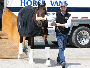 Uncle Mo, Mucho Macho Man Arrive at Churchill Uncle Mo, Mucho Macho Man Arrive at Churchill