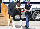 Uncle Mo, Mucho Macho Man Arrive at Churchill Uncle Mo, Mucho Macho Man Arrive at Churchill