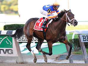 Dam of Uncle Mo to Sell at F-T Ky. Dam of Uncle Mo to Sell at F-T Ky.