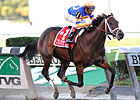 Dam of Uncle Mo to Sell at F-T Ky. Dam of Uncle Mo to Sell at F-T Ky.
