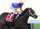 Breeders' Cup Chat: Will Youth Be Served?