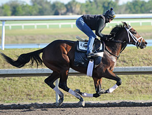 Uncle Mo Top Individual Horse in KDFW Uncle Mo Top Individual Horse in KDFW