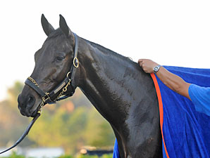 Uncle Mo Tops First NTRA 3YO Poll Uncle Mo Tops First NTRA 3YO Poll