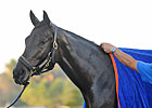Uncle Mo Tops First NTRA 3YO Poll