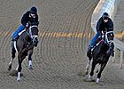 Uncle Mo, Stay Thirsty Breeze at Palm Meadows