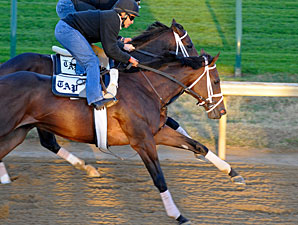 Uncle Mo 7-5 Juvenile Choice Uncle Mo 7-5 Juvenile Choice