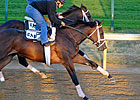 Uncle Mo 7-5 Juvenile Choice Uncle Mo 7-5 Juvenile Choice