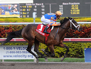 Uncle Mo Favored in Final KDFW Pool Uncle Mo Favored in Final KDFW Pool
