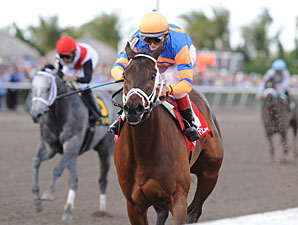 Uncle Mo Favored in March Derby Future Wager Uncle Mo Favored in March Derby Future Wager