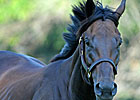 Uncle Mo Thriving at WinStar