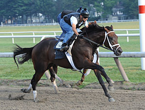Pletcher: Uncle Mo, Stay Thirsty on Target Pletcher: Uncle Mo, Stay Thirsty on Target