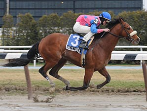 Dominguez Wins 4, Takes Aqueduct Stakes Dominguez Wins 4, Takes Aqueduct Stakes